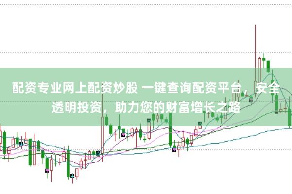 配资专业网上配资炒股 一键查询配资平台，安全透明投资，助力您的财富增长之路