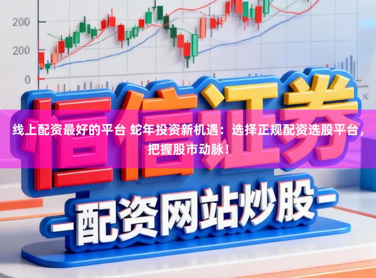 线上配资最好的平台 蛇年投资新机遇：选择正规配资选股平台，把握股市动脉！