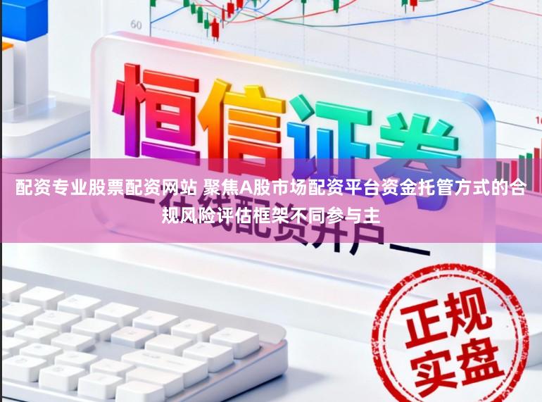 配资专业股票配资网站 聚焦A股市场配资平台资金托管方式的合规风险评估框架不同参与主