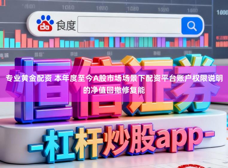 专业黄金配资 本年度至今A股市场场景下配资平台账户权限说明的净值回撤修复能
