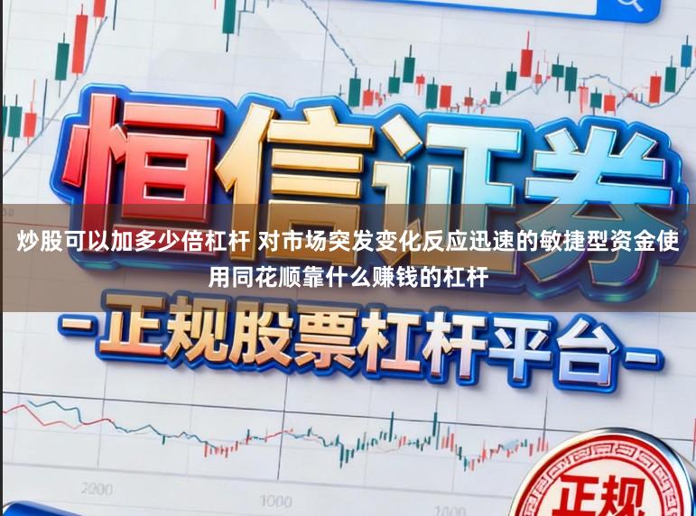 炒股可以加多少倍杠杆 对市场突发变化反应迅速的敏捷型资金使用同花顺靠什么赚钱的杠杆