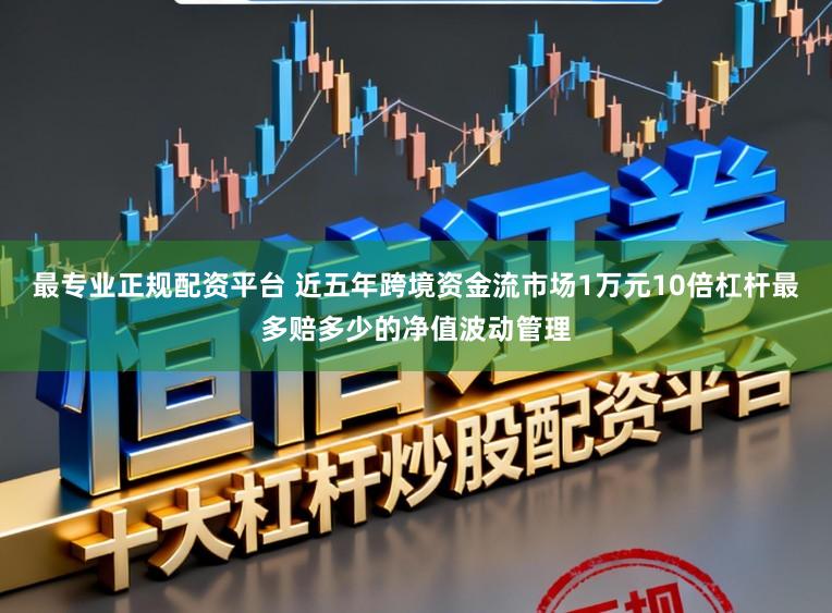 最专业正规配资平台 近五年跨境资金流市场1万元10倍杠杆最多赔多少的净值波动管理