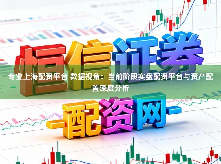 专业上海配资平台 数据视角：当前阶段实盘配资平台与资产配置深度分析